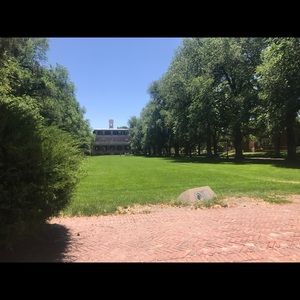 Meet your Posher, Nicole